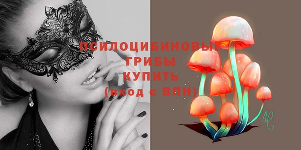ГАЛЛЮЦИНОГЕННЫЕ ГРИБЫ Куйбышев