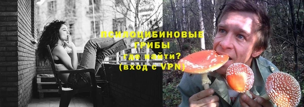 ешки Кукмор