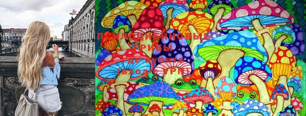 ешки Кукмор